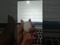1.5 inch egg from @ZeptoNow 😂😂 #zepto #trending #funnyvideo #smallegg #eggs #viral #relatable
