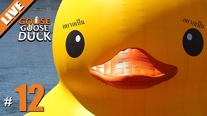 ไม๊กินเป็ดจ่ะไม๊กินเป็ด - LIVE - Goose Goose Duck! #12