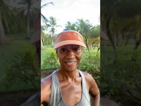 أين البينادريل