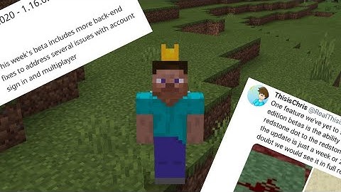 Minecraft Bedrock 1.16: The Last Nether Update Beta? - Beta 1.16.0.68(Future Features Planned)