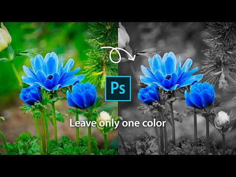 Video: How To Leave A Color Detail On A Black And White Photo