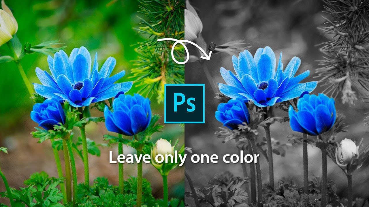 How to leave only one color and make it black and white in Photoshop 2019 -  YouTube