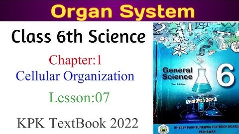 Class 6th Science chapter 1|Celluar Organization| organ system in Pashto|KPK#class6 #science