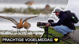 Vlog #326: Genieten in Arkemheen | Sony A7 IV