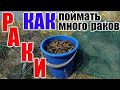 РАКИ лучшие РАКОЛОВКИ и ПРИМАНКИ для ЛОВЛИ РАКОВ, ТОП ПРИМАНОК и РАКОЛОВОК