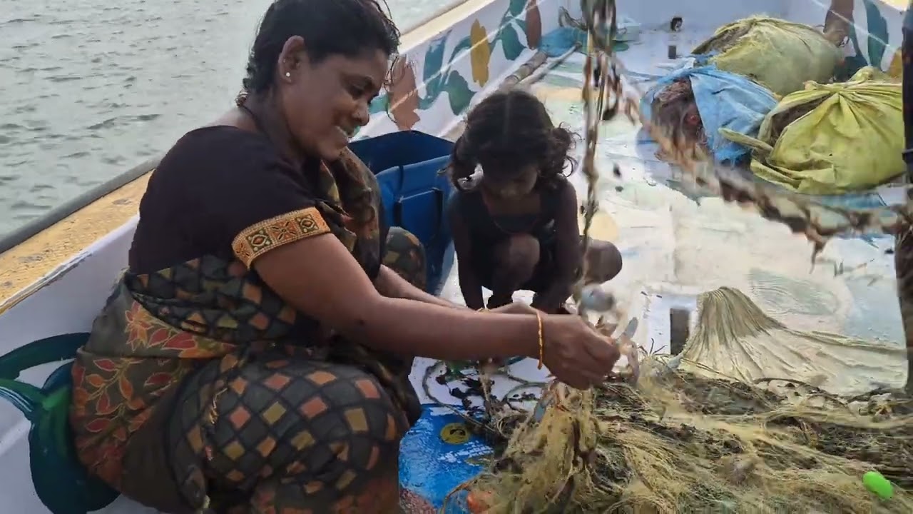 எங்க வலையில் என்ன வந்திருக்குன்னு பாருங்க மக்களே 