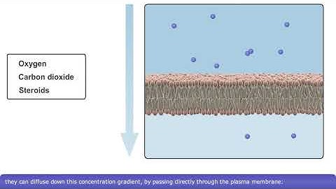 Detailed Animation on Simple Diffusion