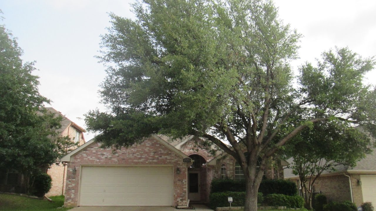Fort Worth Rental Houses 3BR/2BA by Fort Worth Property Management