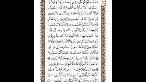 القرآن الكريم | القارئ ياسر الدوسري صفحة 67 سورة آل عمران