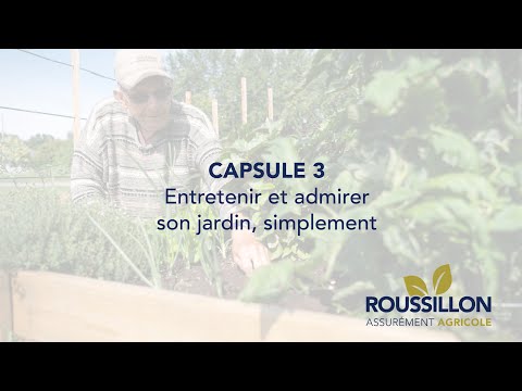 Entretenir et admirer son jardin, simplement | Capsule 3