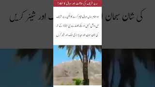 "A scenic landscape view featuring green palm trees#islamicvideo#islamicstatus#islamicshorts#islamic