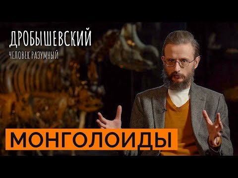 Широкое тело, короткие ноги и уплощенное лицо — всё о монголоидной расе // Дробышевский