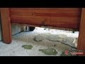 Cedar Planter Box update - does it drain properly? Cedar Planter Box update - does it drain properly?