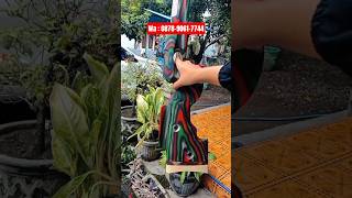 Popor Grs Black Lava Menerima Inden Popor Bebas Request