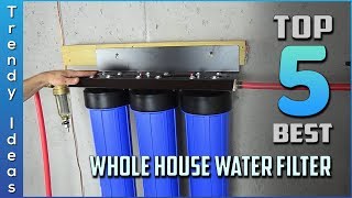 top 5 best whole house water filters in 2024