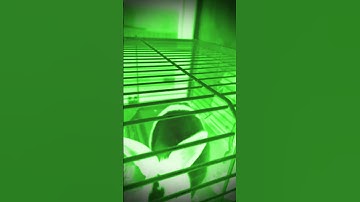 #transition #transiction #kpop #cute #edit #tutorial #lol #dog #rabbit