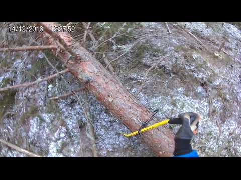 Video: Mitä puutavaraa tarvitsen nastaseinän rakentamiseen?