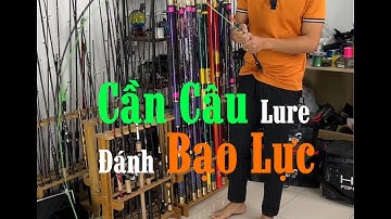 Bộ Cần Câu Lure Bạo Lực Không Sợ Gẫy Đây Bộ Số 25 Câu Cá Edu