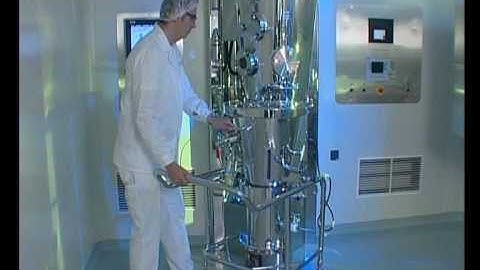 Fluid Bed Processing