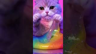 Renkli Kedi Slime Asmr Cute Rainbow Cat Slime Sounds