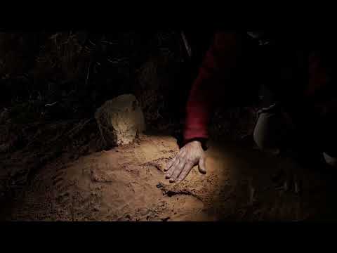 WE KNEW HOW BEAUTIFUL THEY WERE, THESE ISLANDS trailer