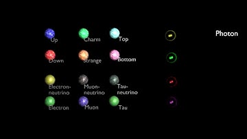 The Standard Model Of Particle Physics 001 : Overview