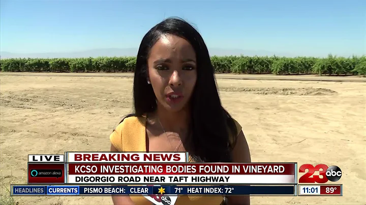 Two burned bodies found in Arvin orchard