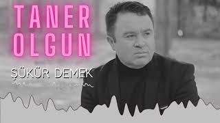 Taner Olgun - Şükür Demek