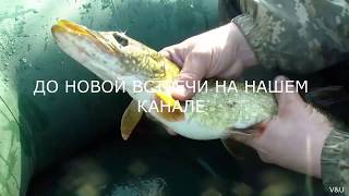 8  Ловля Щуки На Блесну //Russia Volga Pike Fishing On A Spoon