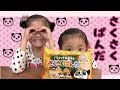 Kabayaさくさくパンダ Panda Chocolate Making Kit