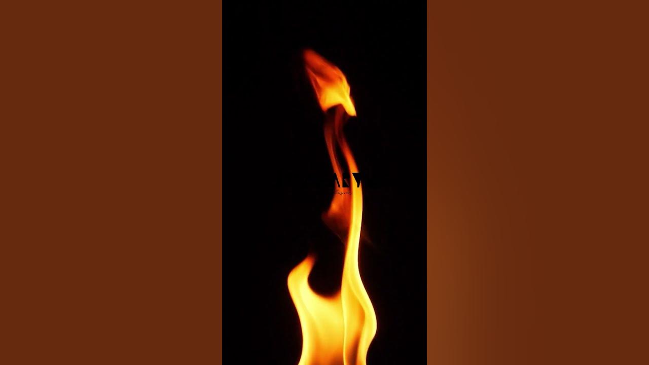 Fall of fire / Swanaryn / Album Nocturnal Oracle #shorts #swanaryn #music #angel
