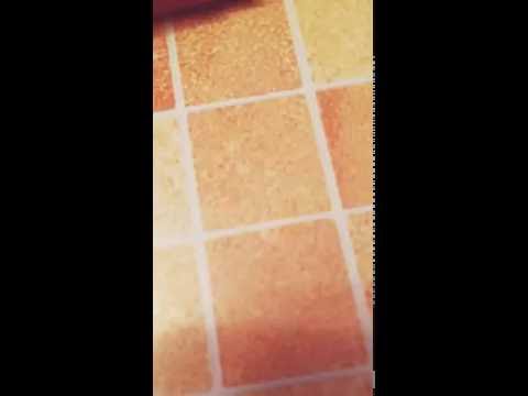 Альпен гольд орео и - Альпен гольд и капучино !👍🏻👌🏻😄🍫☕️/.