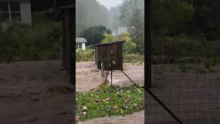 Our road during Hurricane Helene
