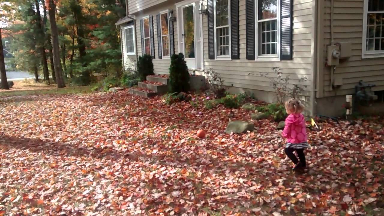 Abby throws ball in leaves YouTube