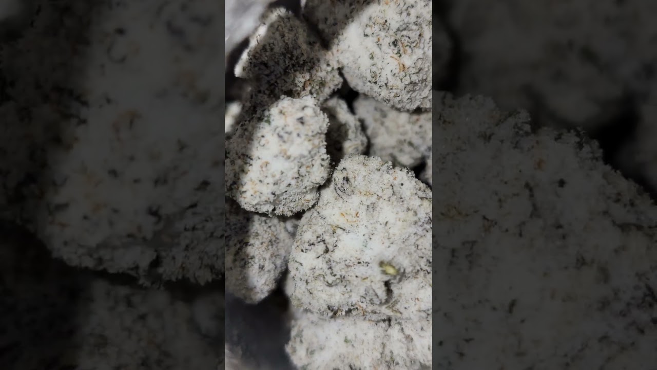 Unveiling Persy snowcaps: A THCa-Packed Review!