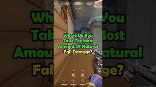 Where Do You Take The Most Amount Of Fall DMG