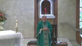 Detalles Twenty-third Sunday in Ordinary Time | September 6, 2026 Noticias