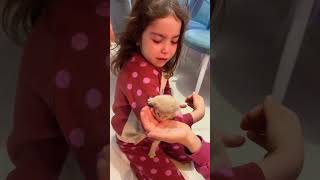 23 Nisan Ulusal Egemenlik Çocuk Bayramı Hediyem