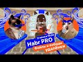 Habr PRO. Фэйлы и победы удаленки. Фрилансер vs Mir Plat.form (НСПК) [пилот]