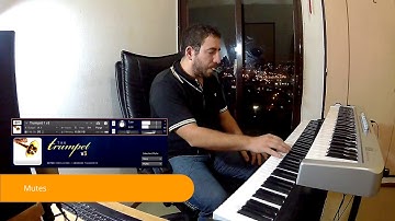 Sample Modeling Brass Tutorial 07 - Mutes, Early Reflections