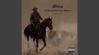 Vignette de la vidéo "Ween - Japanese Cowboy"