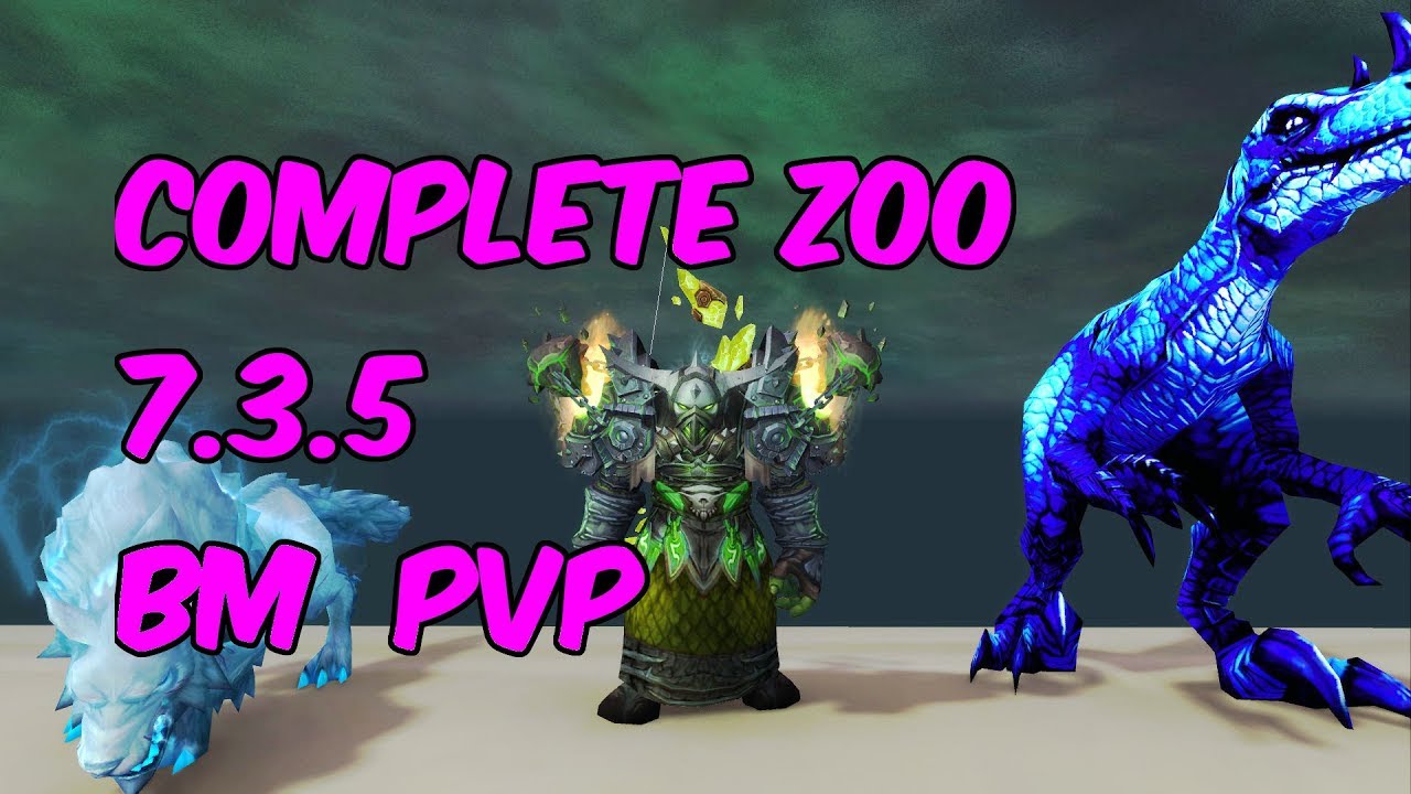 COMPLETE ZOO - 7.3.5 Beast Mastery Hunter PvP - WoW Legion ...