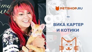 ЕДЕМ В ПРИЮТ С ВИКОЙ КАРТЕР - ПОМОЩЬ БЕЗДОМНЫМ ЖИВОТНЫМ ЕДЕМ В ПРИЮТ С ВИКОЙ КАРТЕР - ПОМОЩЬ БЕЗДОМНЫМ ЖИВОТНЫМ