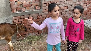 From The Vault Gurleen Kanan In Village