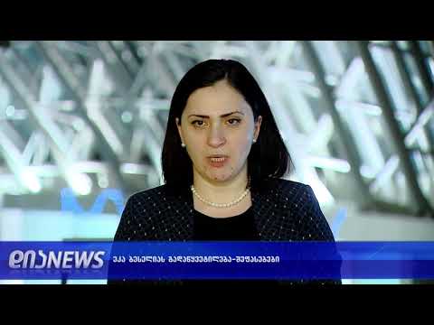 ეკა ბესელიას საკითხი-შეფასებები 28.12.2018