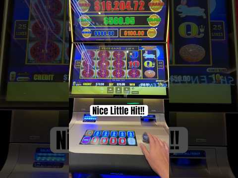 I Stayed At The Treasure Island Las Vegas Hotel - Was it worth it?