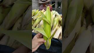 ## 😍😍 কার কার পছন্দের খাবার 🤪🤪/// vutta...... ##