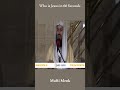 Who is Jesus in 60 Seconds - Mufti Menk