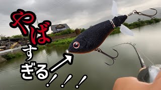 【野池】便利すぎる！ルアー❗️