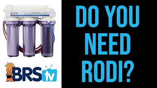 Do You Really Need RODI Water for Saltwater Tank? PT1: BRStv Guide to RODI Systems & Reef Tanks by BRStv - Saltwater Aquariums & Reef Tanks 3,615 views 3 months ago 13 minutes, 24 seconds